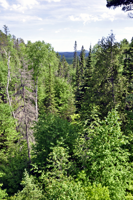 view from overlook at Ouimet Canyon